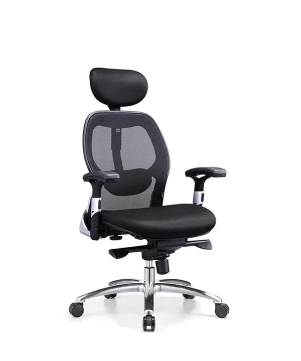 Ergonomic mesh chair with headrest
