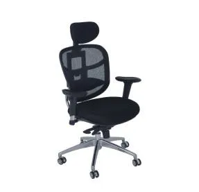 Ergonomic mesh chair with headrest