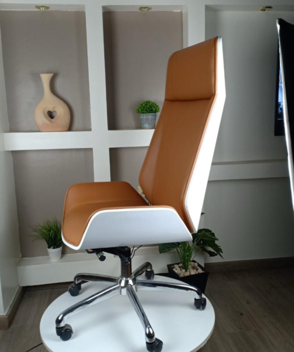 Leather chairs